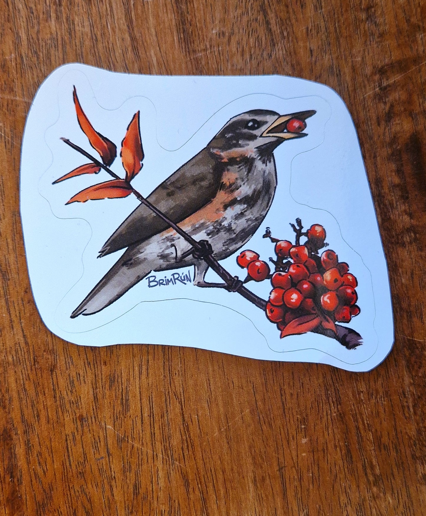 Þröstur / Thrush - Sticker - Brimrún