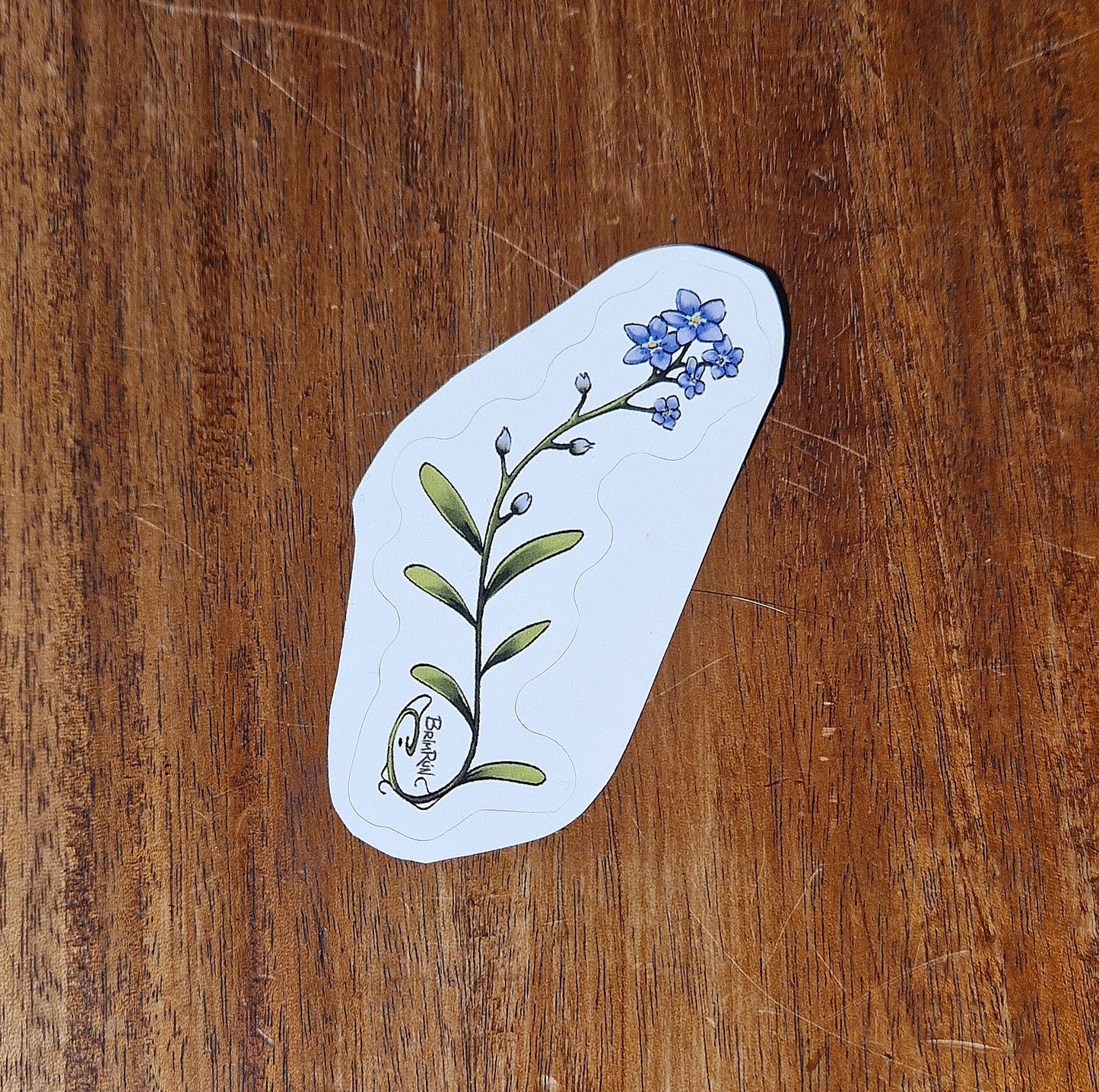 Forget me not, national flower - Sticker - Brimrún