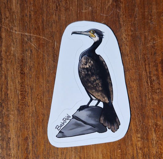 Dílaskarfur / Great Cormorant - Sticker - Brimrún