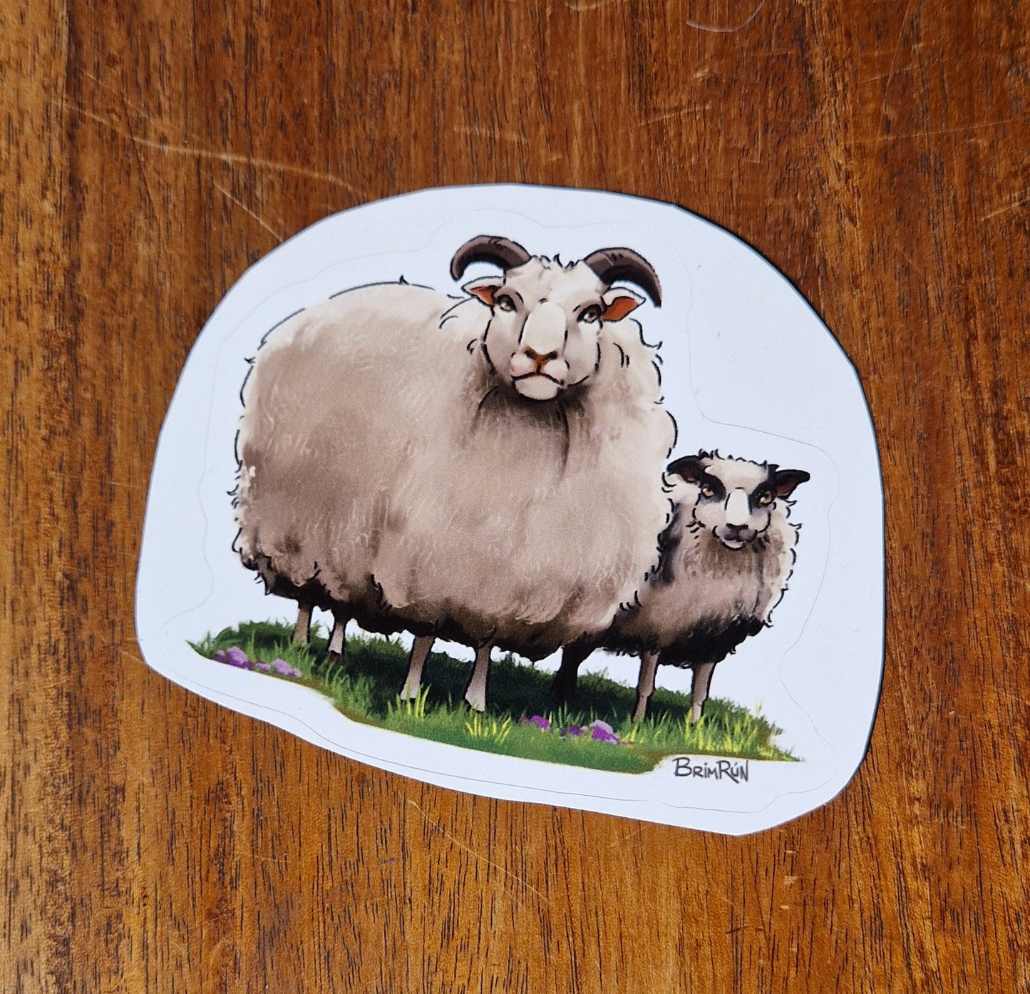 Icelandic Sheep - Sticker - Brimrún