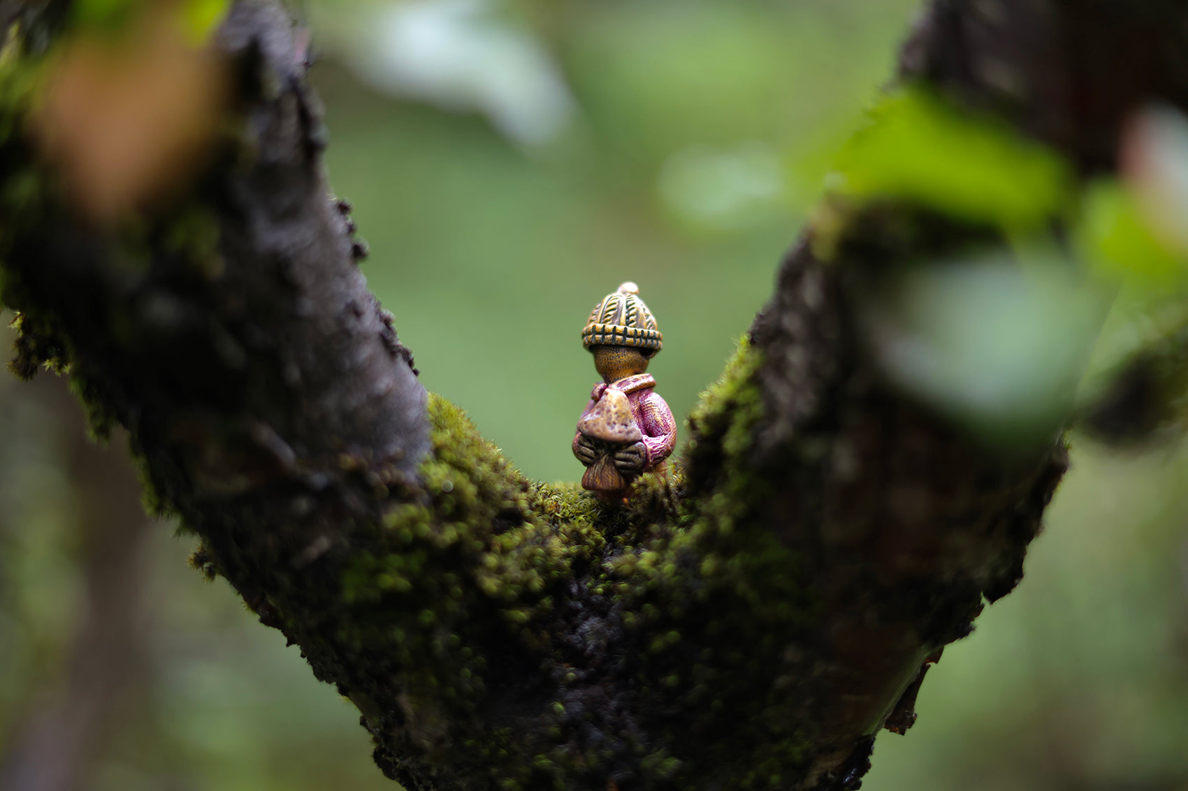 Mushroom Gatherers - Homemakers & Hidden people