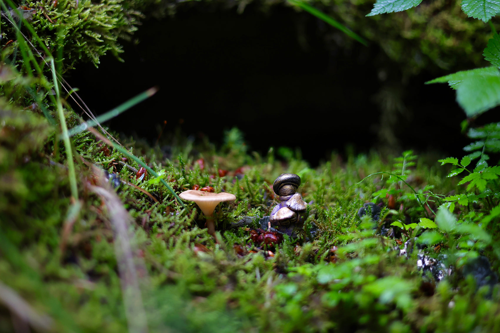 Mushroom Gatherers - Homemakers & Hidden people