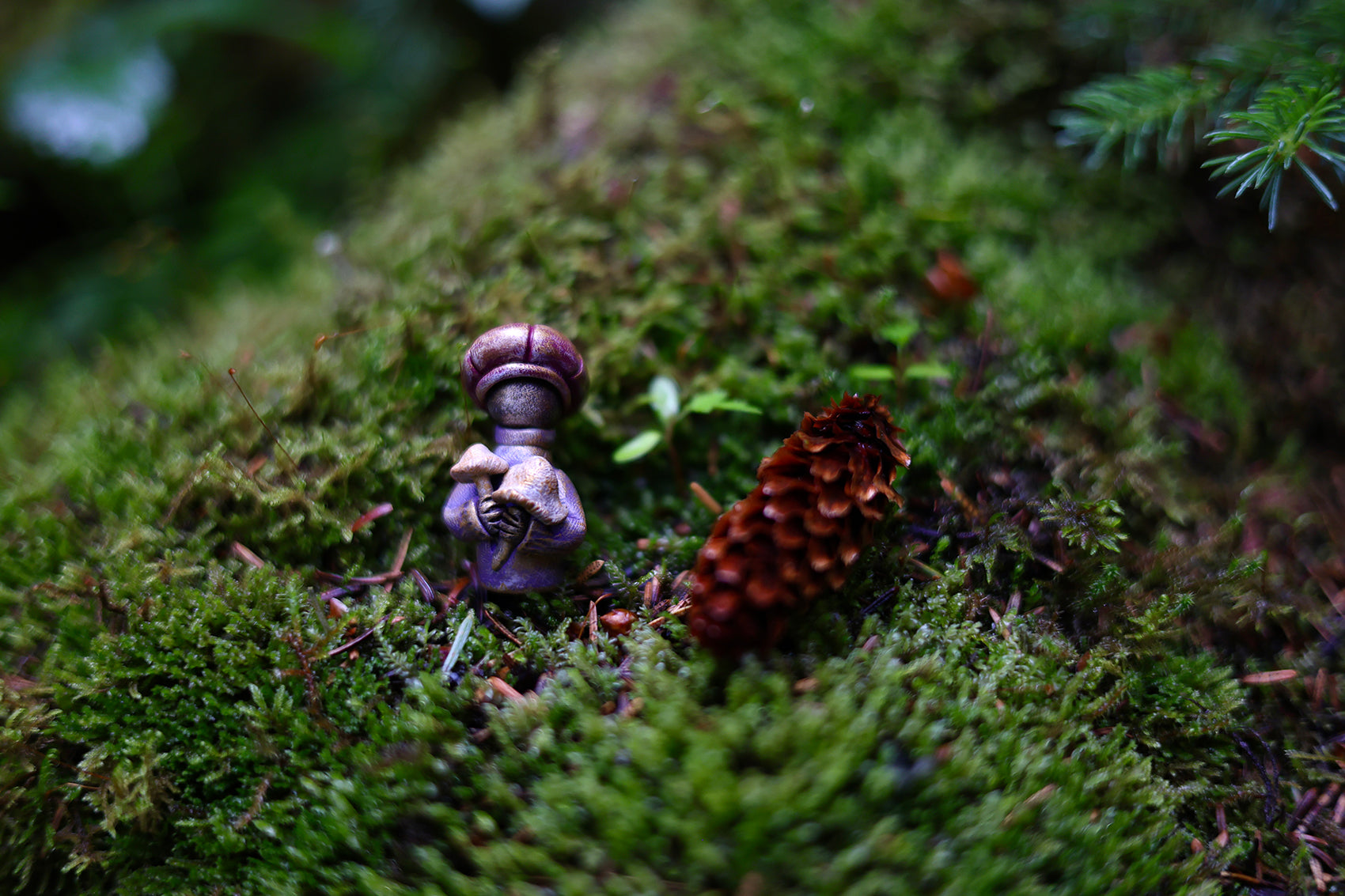 Mushroom Gatherers - Homemakers & Hidden people