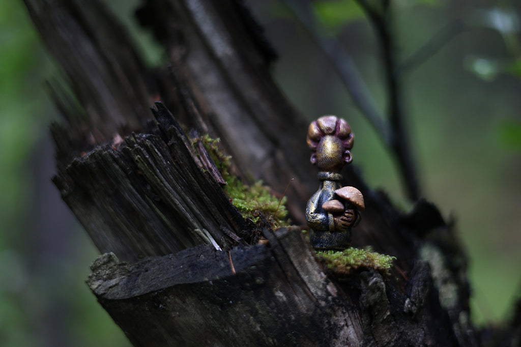 Mushroom Gatherers - Homemakers & Hidden people