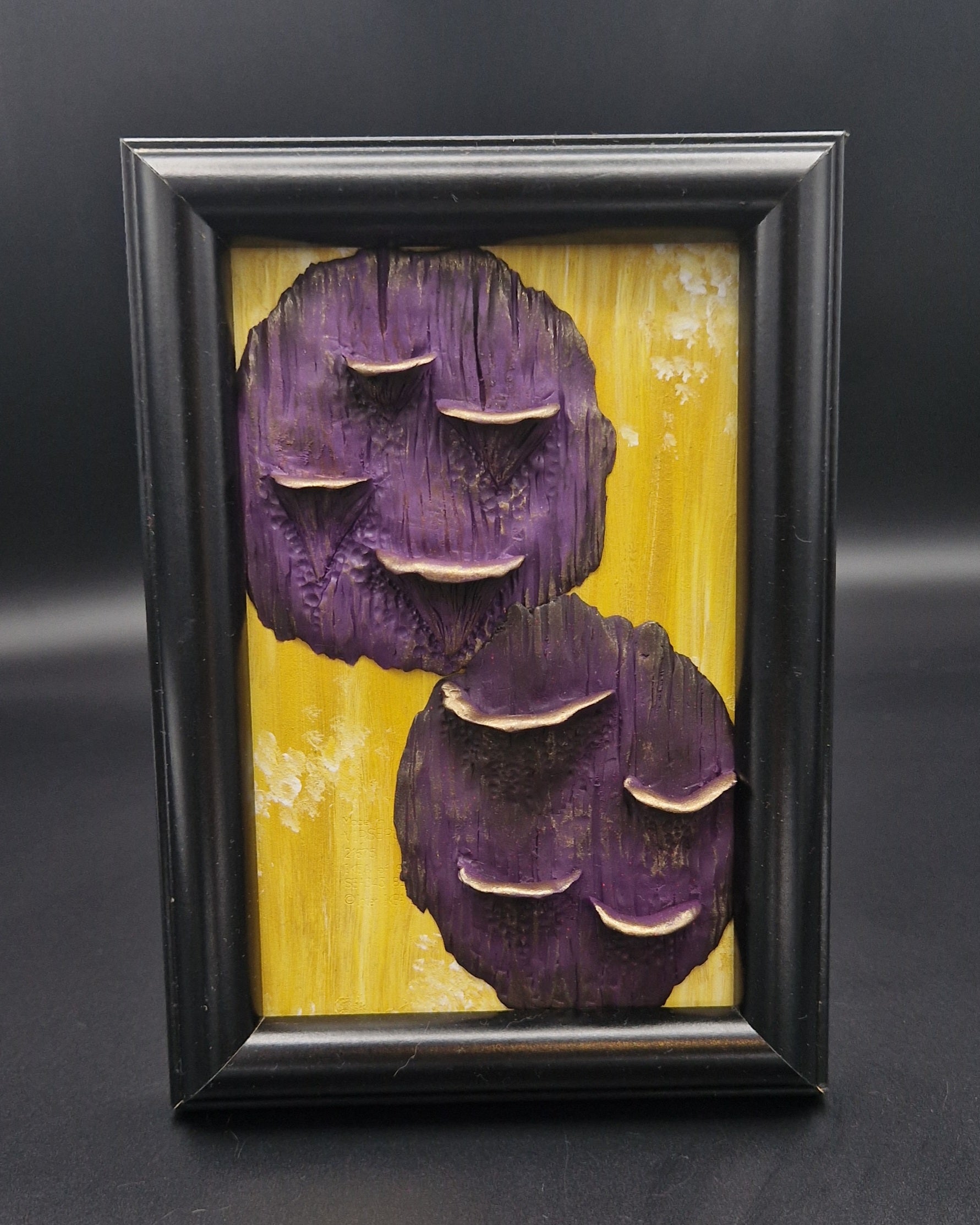 Framed minature mushroom shelves by Jódís Eva